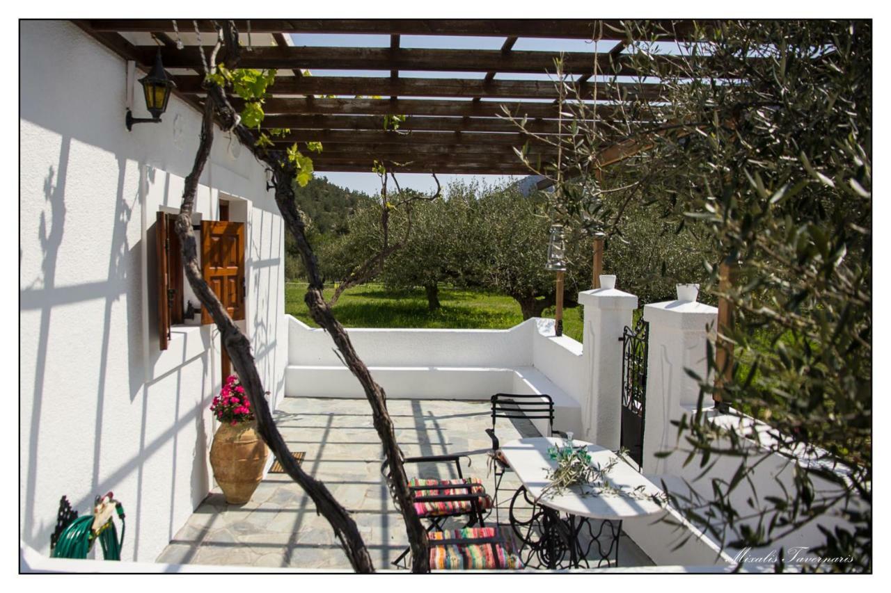 Liodentro House Villa Kárpathos Eksteriør bilde